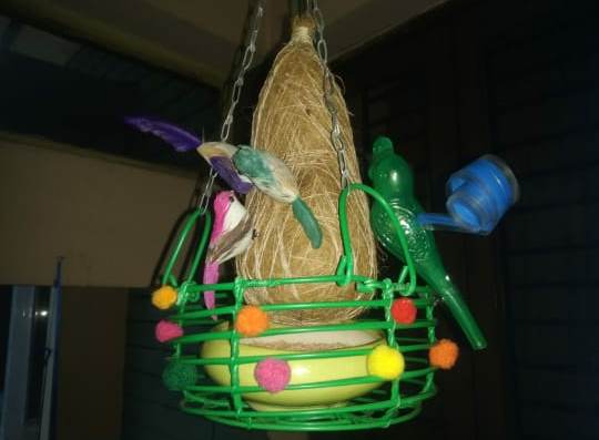 Climate Action Project_3