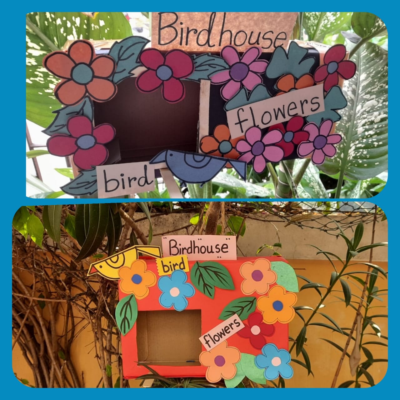 Climate Action Project_7