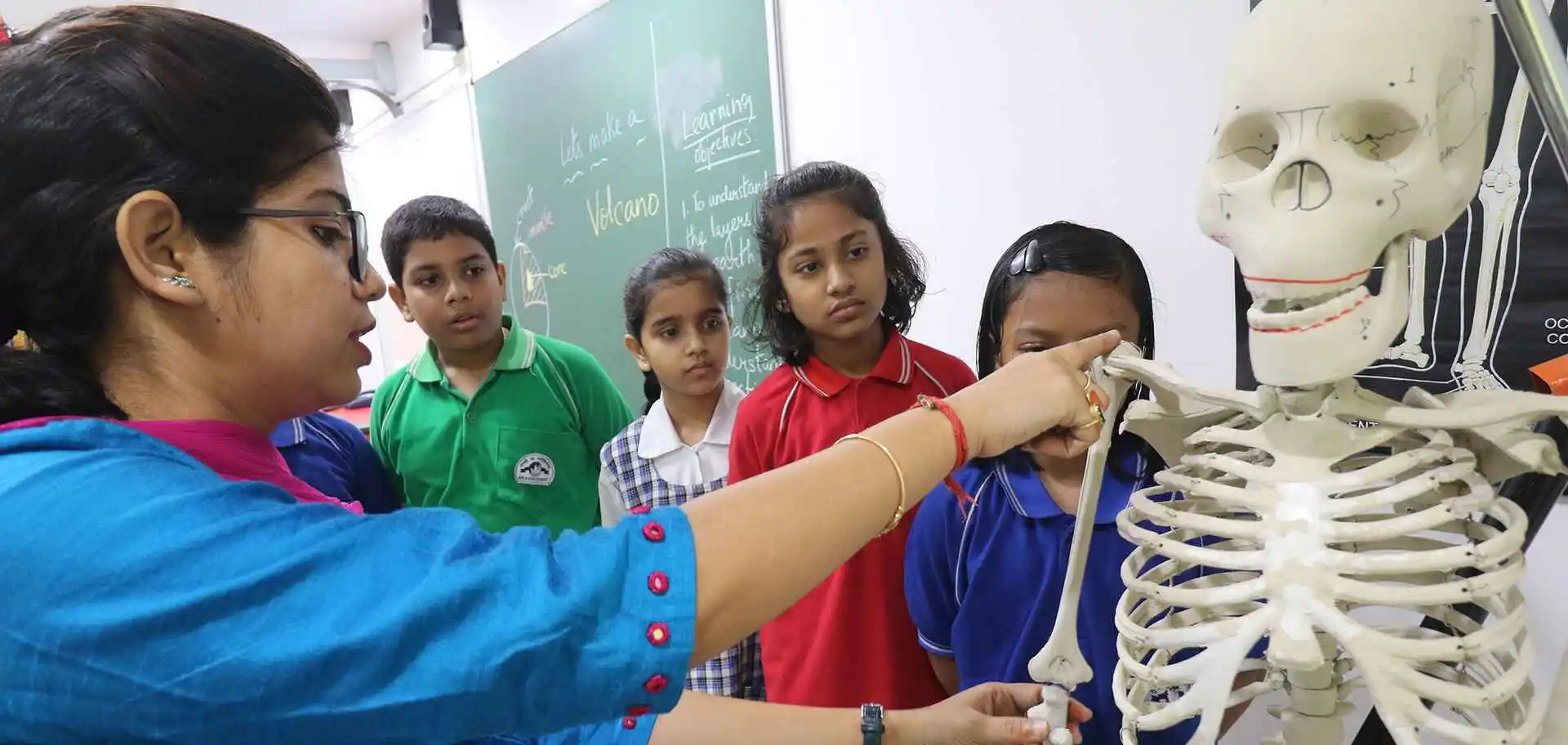 counsellors special educators banner