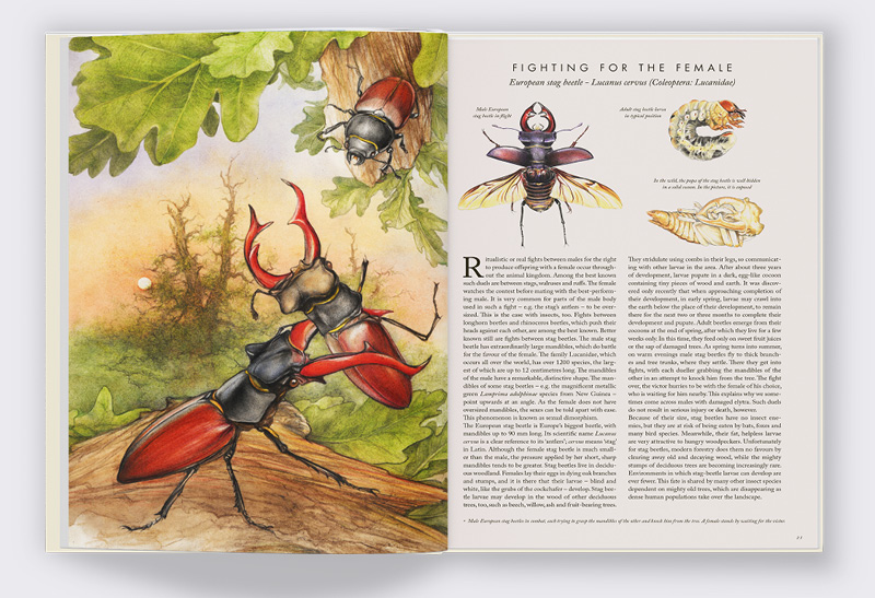 Exploring Nature`s Tiny Wonders