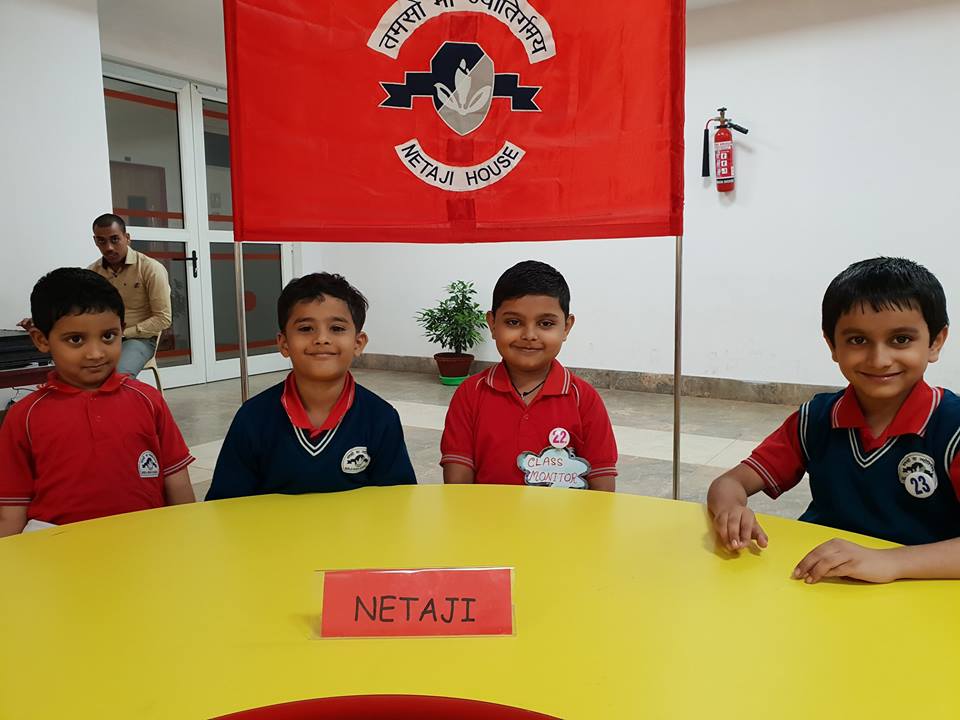 Importance of Early Math Skills and Numeracy Development