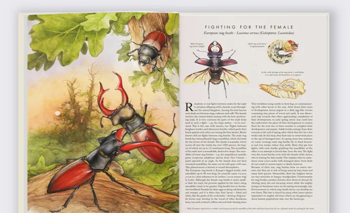 Exploring Nature`s Tiny Wonders