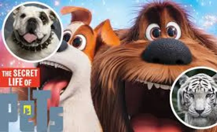 Exploring the Secret Lives of Pets